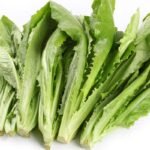 Long Leaf, Lettuce Romiane ,You Mai Cai Seeds