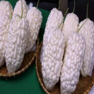 White Bitter Melon Seeds - Image 2