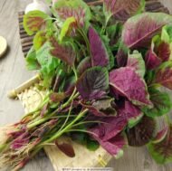 Red Amaranth Seeds - Red Spinach Seeds - Image 3