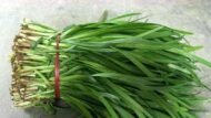 Original Chinese Root Chive Seeds - Image 4